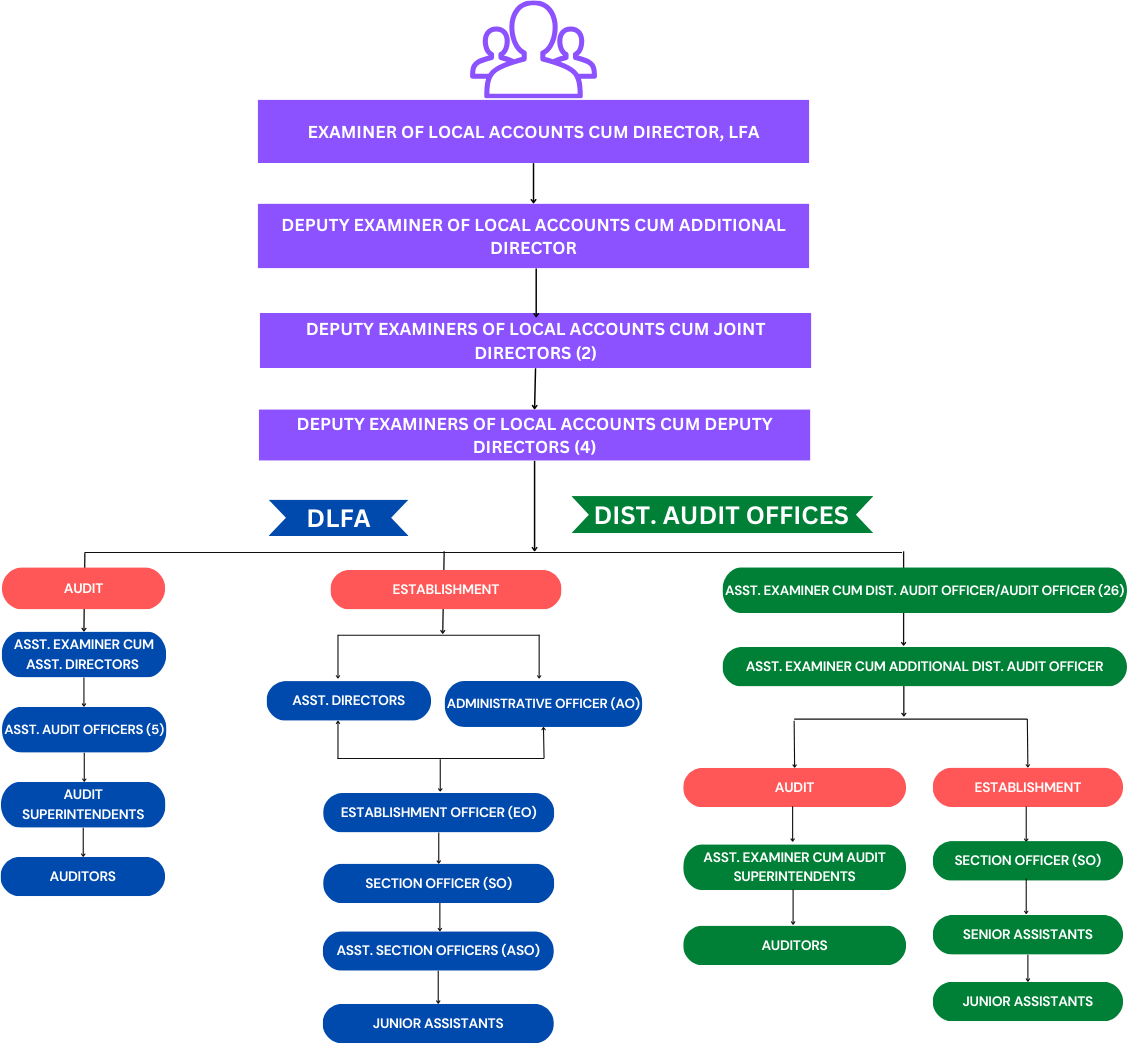 Organogram